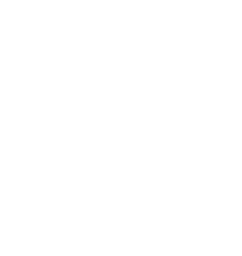 AAA naid certified badge
